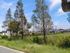 -欢乐蟹庄·精品农家乐(阳澄湖莲花岛店)