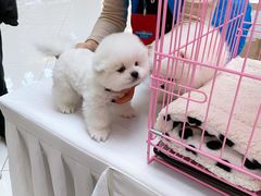 -方恒购物中心(望京小街店)