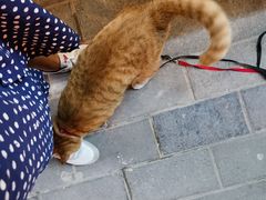 -情忆草原涮肉馆