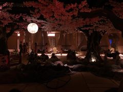 -蓝鲸湾汤泉(包河店)