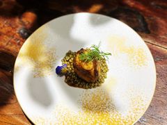 鲍鱼-陶醉馆·艺术雅集私宴