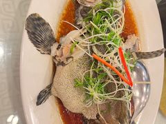 -顺峰海鲜酒楼(省府店)