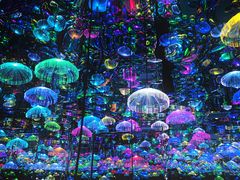 -天津梵高星空艺术馆(天河城旗舰店)