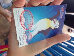 iphone_upload_pic-珠海横琴长隆《卡卡虎奇遇记》