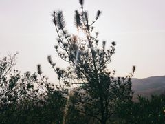-北辰山景区