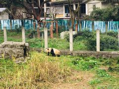 -重庆动物园·东二门售票处