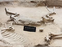 -洛阳周王城天子驾六博物馆