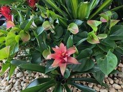 -惠丰源烩面馆(经七路店)