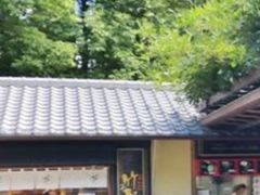 -岚山嵯峨野观光小火车