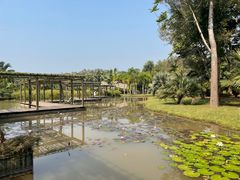 -中国科学院西双版纳热带植物园
