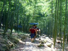 SNV35709-众神白水涧景区