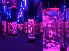 -成都浩海立方海洋公园