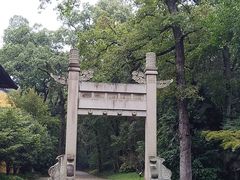 -灵谷景区