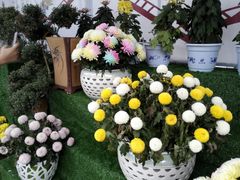 -廊坊文化艺术中心