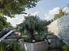 -广州神农草堂中医药博物馆