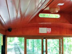 -合肥滨湖国家森林公园