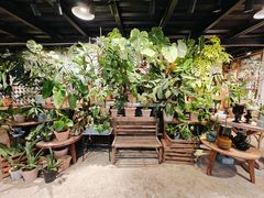 -自由生长植物工作室(深港花卉中心店)