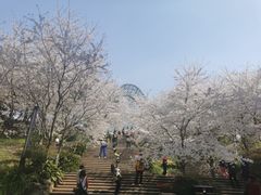 -南山植物园