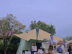 -龙坞茶村