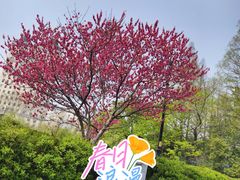 -南通濠河风景名胜区