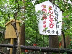 -野宫神社