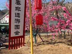 -北京凤凰岭