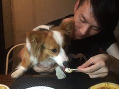 百好乐比萨-百好乐宠物友好餐厅(朝外大街店)