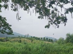 -田峪河公园