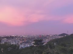 -仙岳公园
