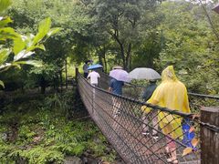 -石台牯牛降景区