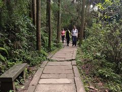 -青城山