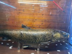 -南京金牛湖风景区