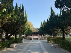 -苏州文庙(姑苏区)