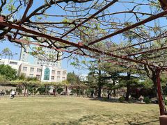 -嘉定紫藤园