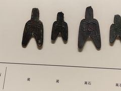 -中国钱币博物馆