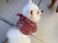 -怪兽屋·羊驼·猫咖·狗咖(俊华广场店)