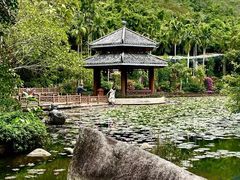 -亚龙湾热带天堂森林公园