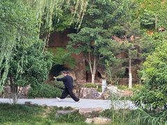 -青枫公园
