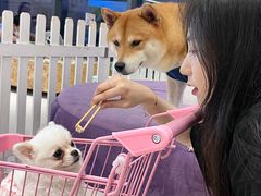 -怪兽屋·羊驼·猫咖·狗咖(俊华广场店)