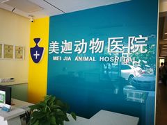 -美迦爱-牙专科·兔科·骨科诊疗中心(北苑店)