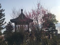 -东钱湖小普陀景区