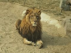 -北京野生动物园