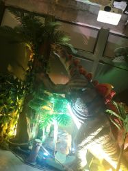 点击看大图 -恐龙探索乐园(磁器口店)