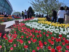 -石家庄市植物园