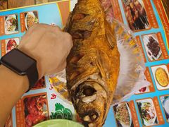 -艾力江和田馕坑烤肉店