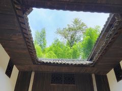 -大围山国家森林公园