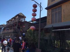 -呀路古热带植物园