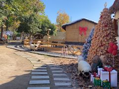 -HERRE·FARM 赫尔露营农场·团建聚会包场