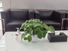 -上海伟杰·捷豹路虎4S店(闵行店)