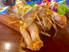 -茉莉.Red Crab